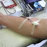 Přenos babesiózy kontaminovanou transfuzní krví