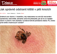 Jak správně odstranit klíště v pěti krocích