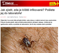 Jak zjistit, zda je klíště infikované? Pošlete jej do laboratoře!