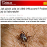 Jak zjistit, zda je klíště infikované? Pošlete jej do laboratoře!