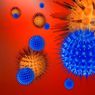 Co způsobuje virus klíšťové encefalitidy v lidském těle
